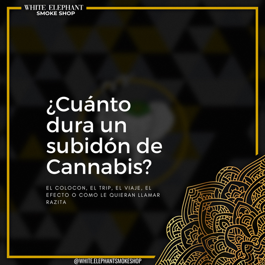 Duración del efecto al consumir cannabis