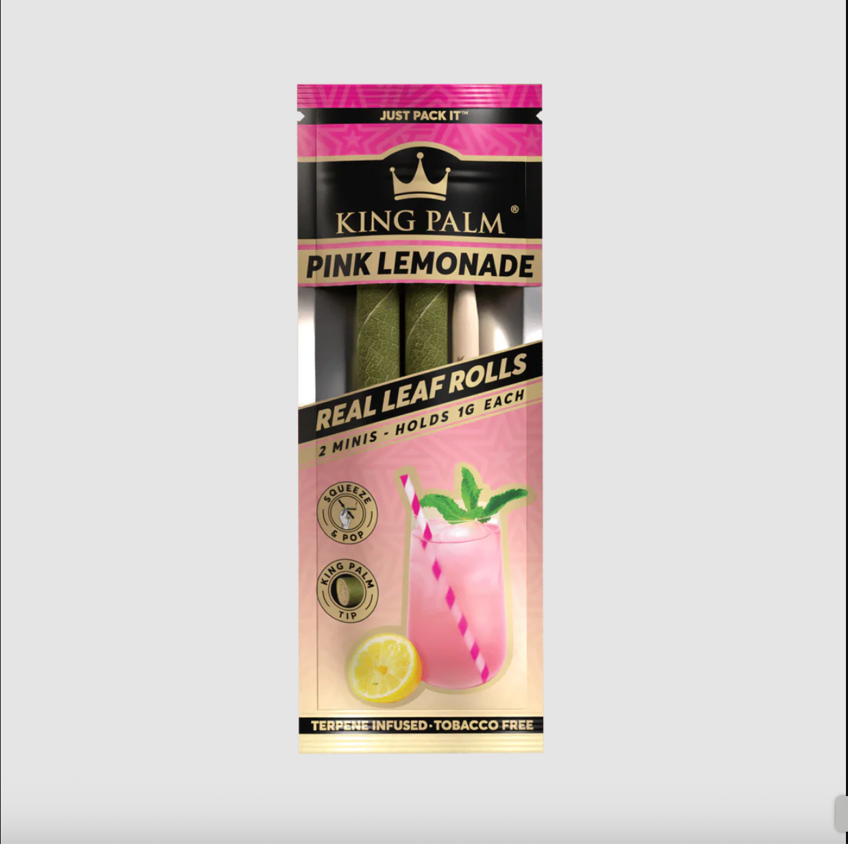 KING PALM / MINI SIZE / 1G