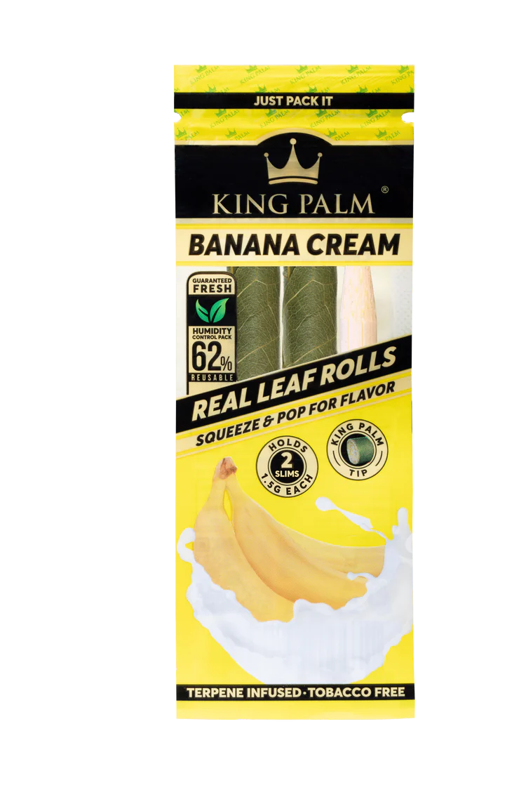 KING PALM / MINI SIZE / 1G