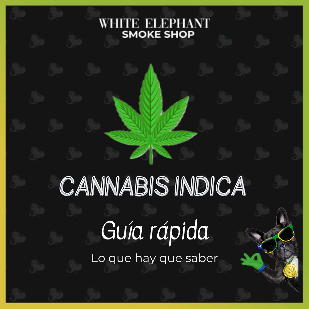 CANNABIS INDICA