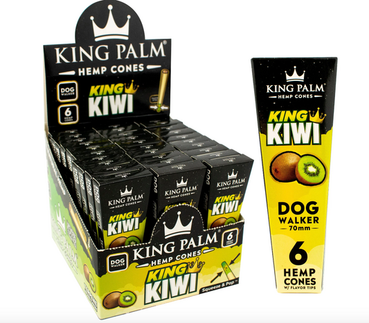 CONOS DE HEMP KING PALM